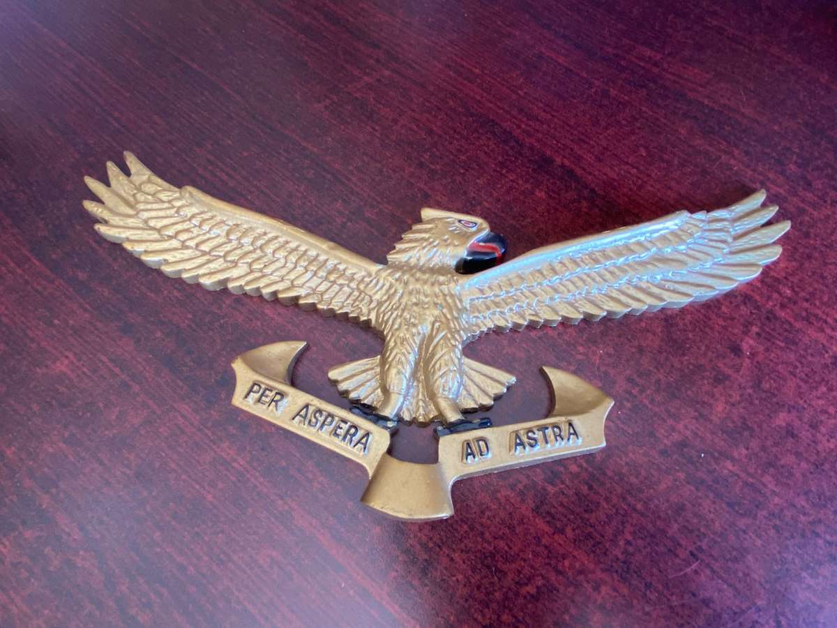 LARGE SAAF EMBLEM-MEASURES 32X 13 CM -MADE FROM HARD RESIN