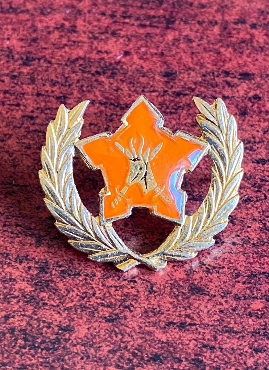 ARMY BREAST BADGE FOR CITIZEN FORCE COMMANDO'S AND VOLUNTEERS FOR 5 YEAR SERVICE- 2 PINS