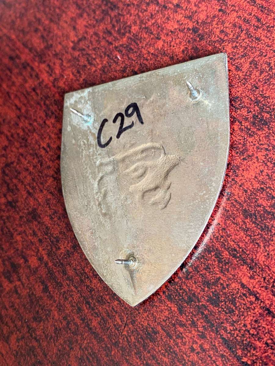 44 PARA INSTRUCTOR FLASH-NO ADOPTED- 3 PINS