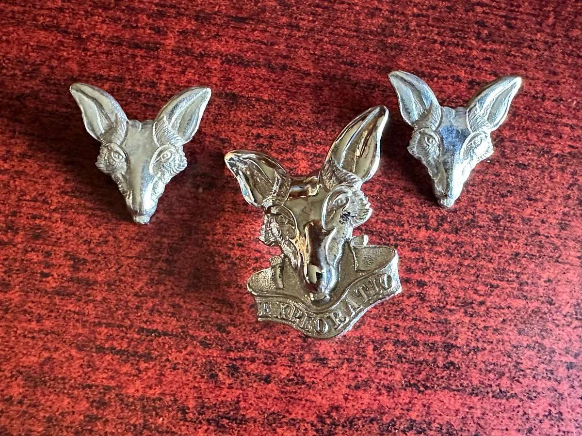 SA INTELLIGENCE CORPS,CHROMED CAP AND COLLARS-LUGS + PINS INTACT