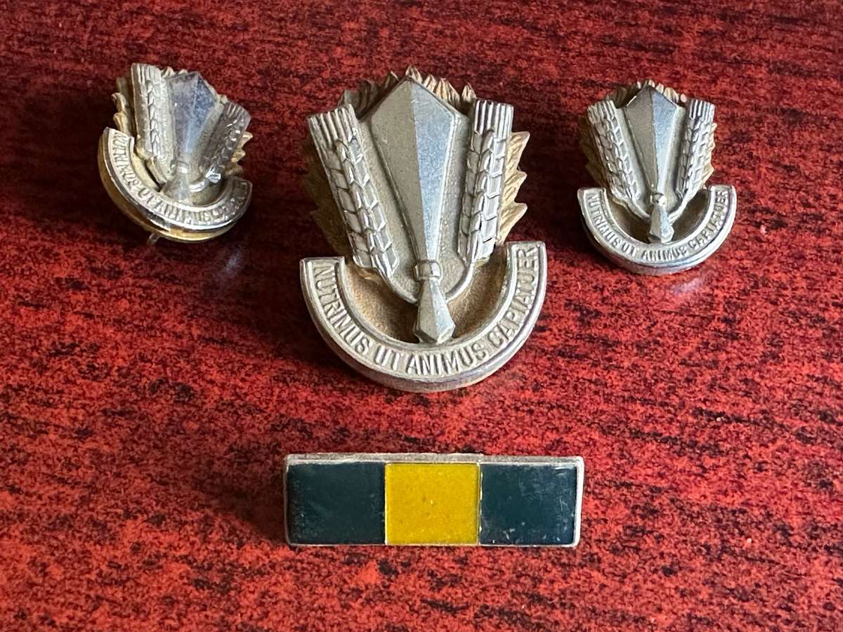 SA CATERING CORPS BI/METAL CAP,COLLARS AND BERET BAR-APPROVED IN 1978-LUGS + PINS COMPLETE