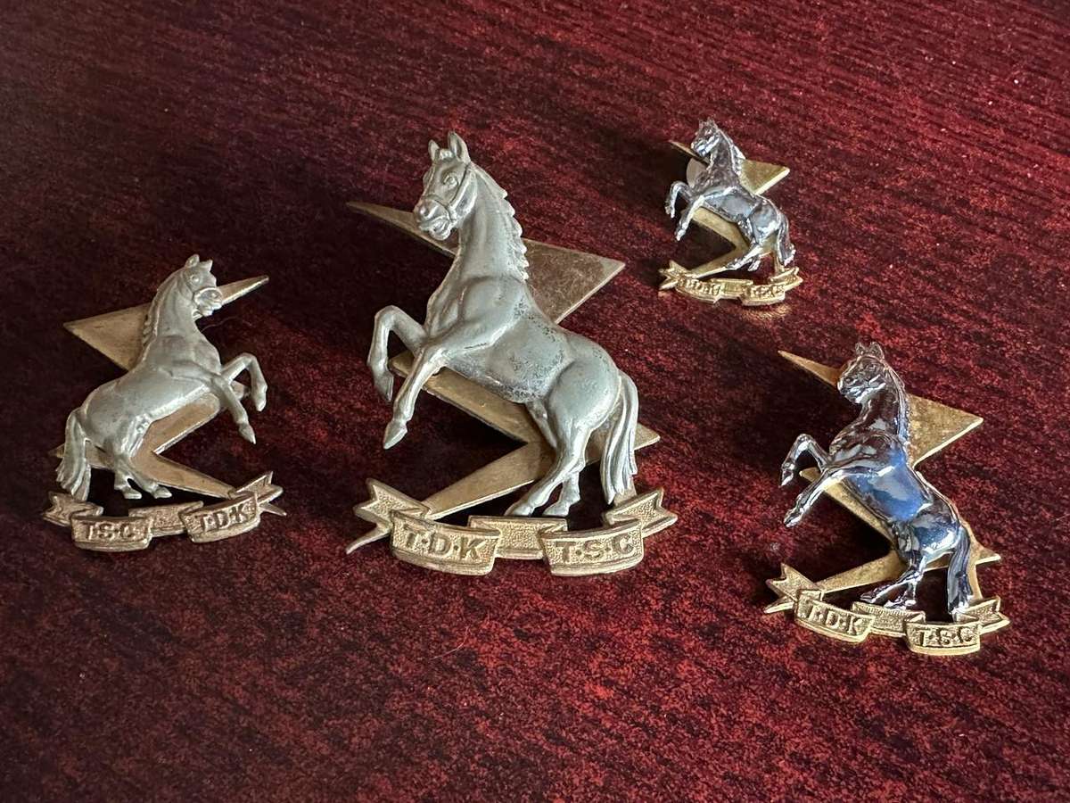 TECHNICAL SERVICE CORPS BERET BADGE, 2 COLLARS AND ONE MESS DRESS COLLAR-LUGS + PINS COMPLETE