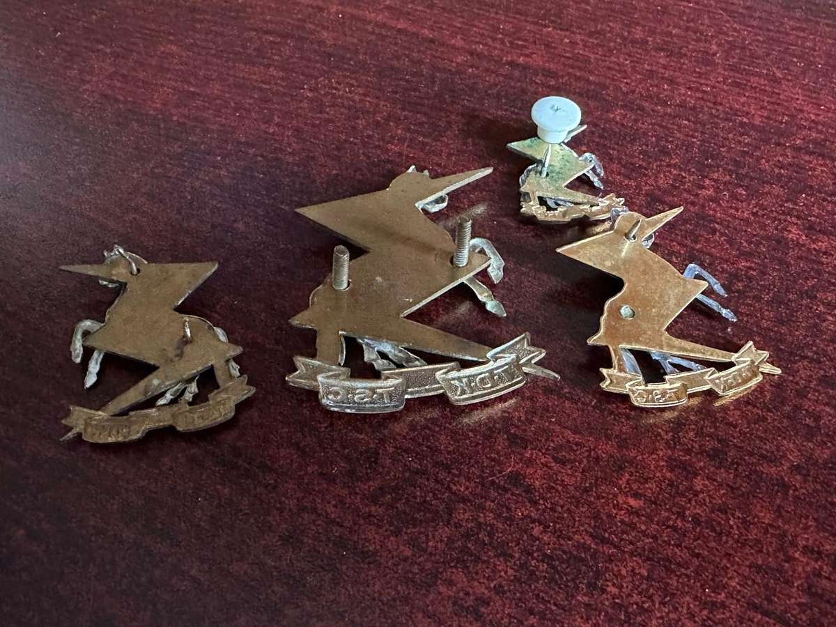 TECHNICAL SERVICE CORPS BERET BADGE, 2 COLLARS AND ONE MESS DRESS COLLAR-LUGS + PINS COMPLETE