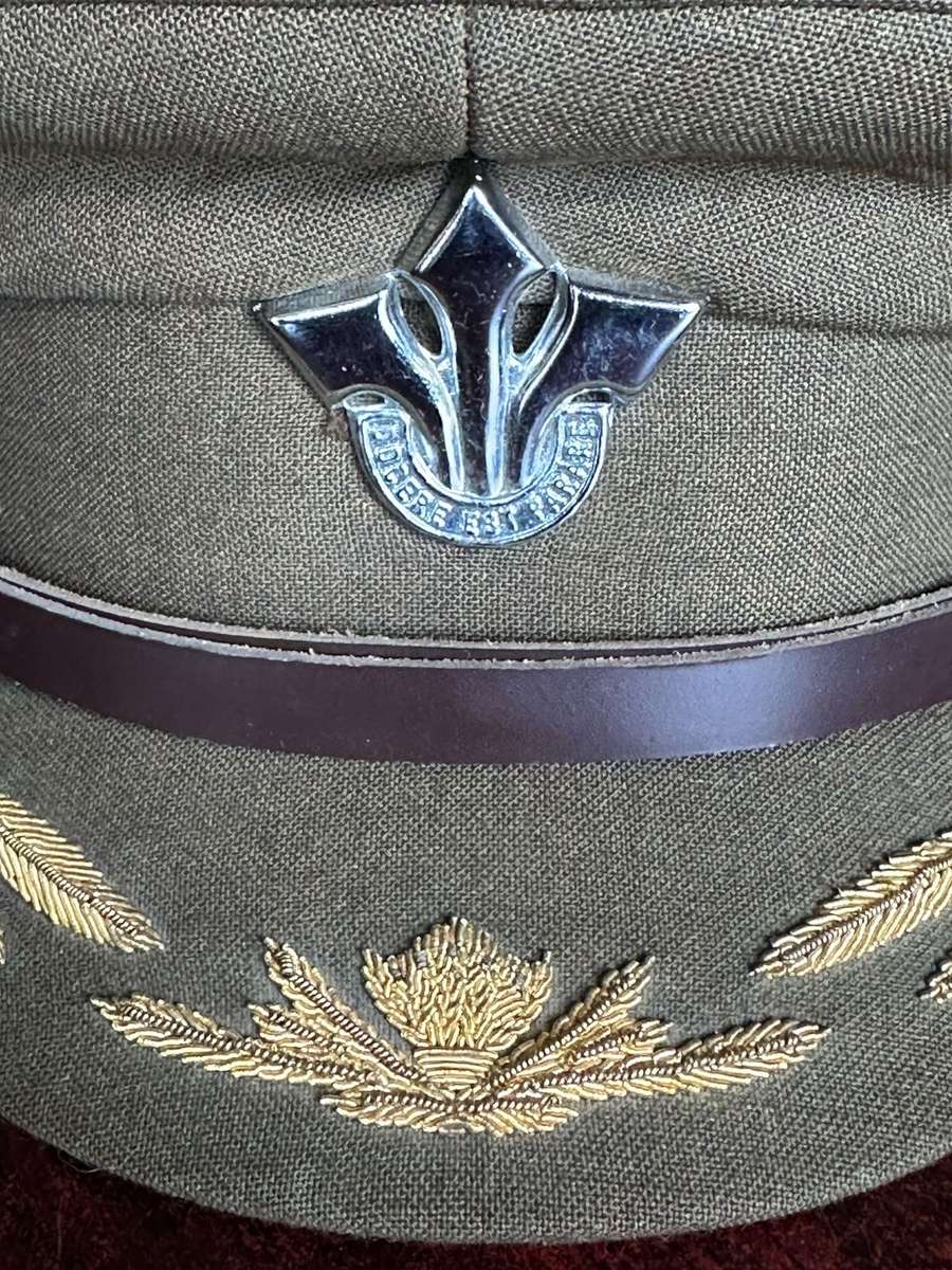 CORPS OF PROFESSIONAL OFFICERS PEAKED CAP -APPROVED 1978-SIZE 57-GOOD CONDITION