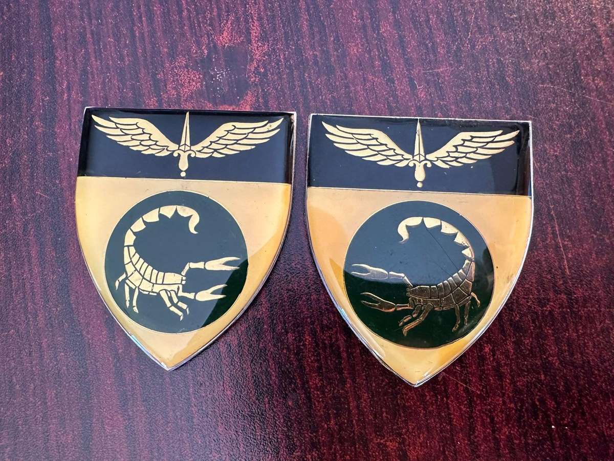 2 Recce commando flash pair. 1st Issue. Approved 1974. no pins. Ivory coloured because of age