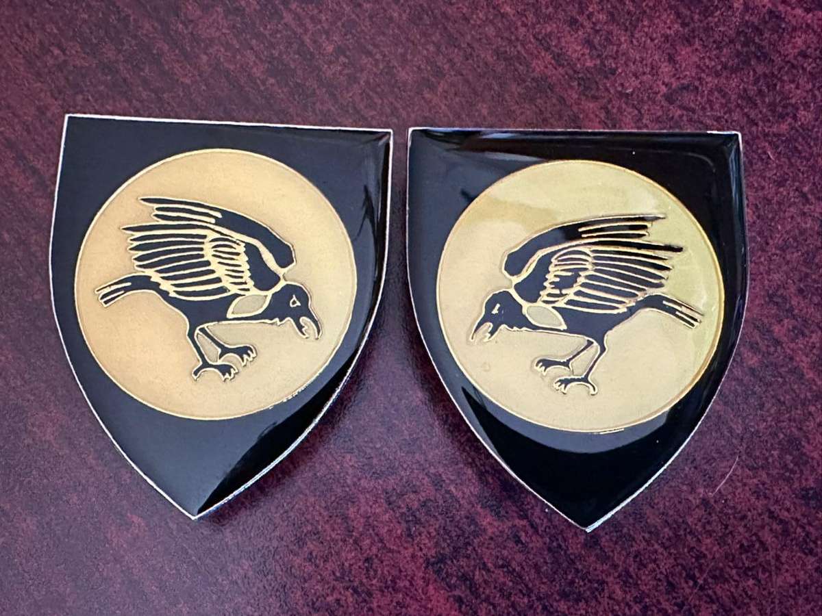 SWA 201 Battalion, full size flash pair. Pins intact