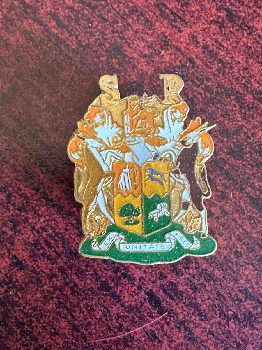 State Presidents guard beret badge (smaller). 2 Pins. Introduced 1987