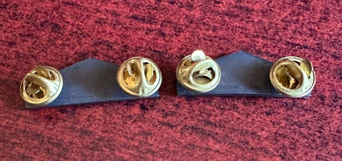SWA medical corps collar badge pair. Approved 1982. Pins intact