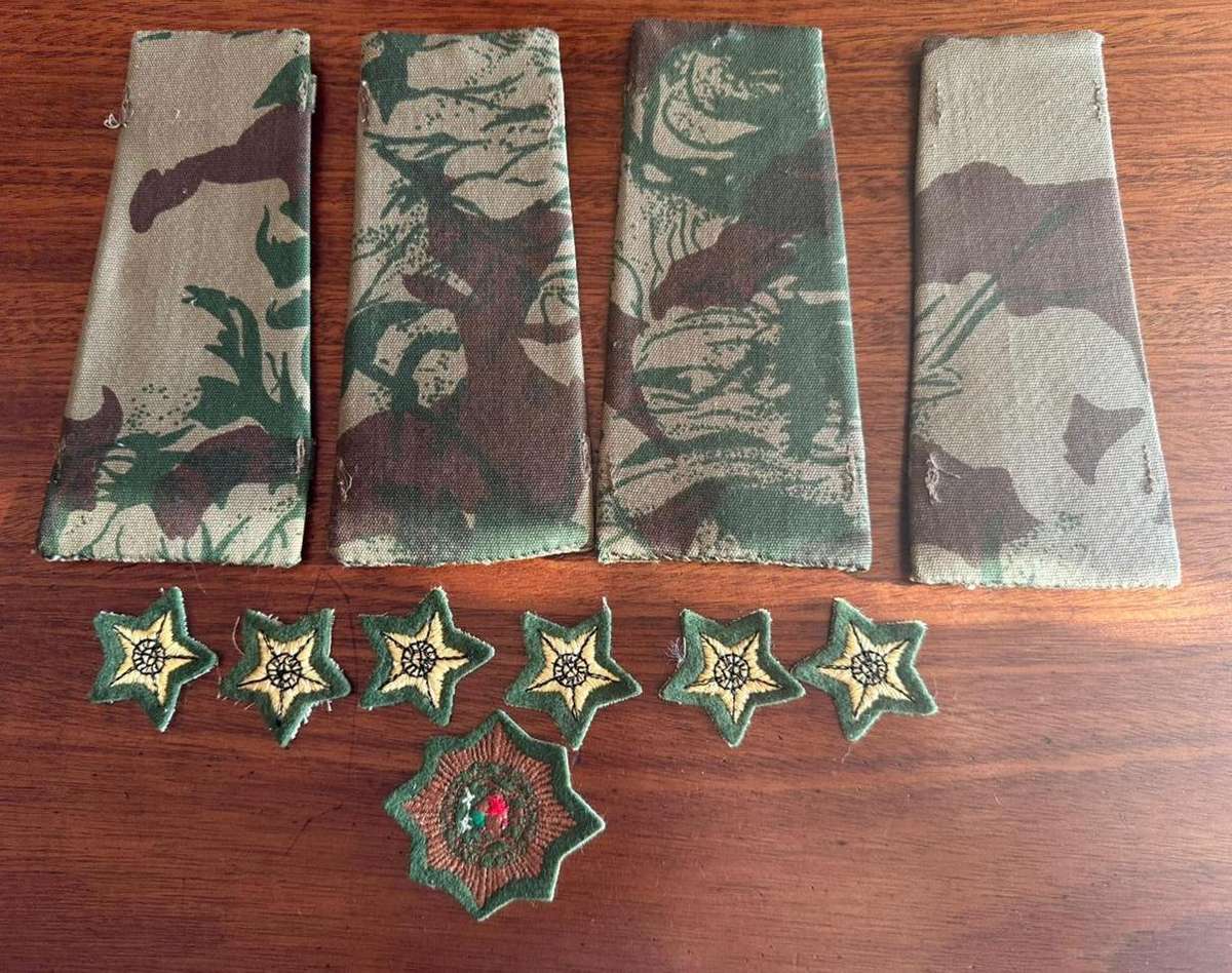 Task force ranks and cap badge.