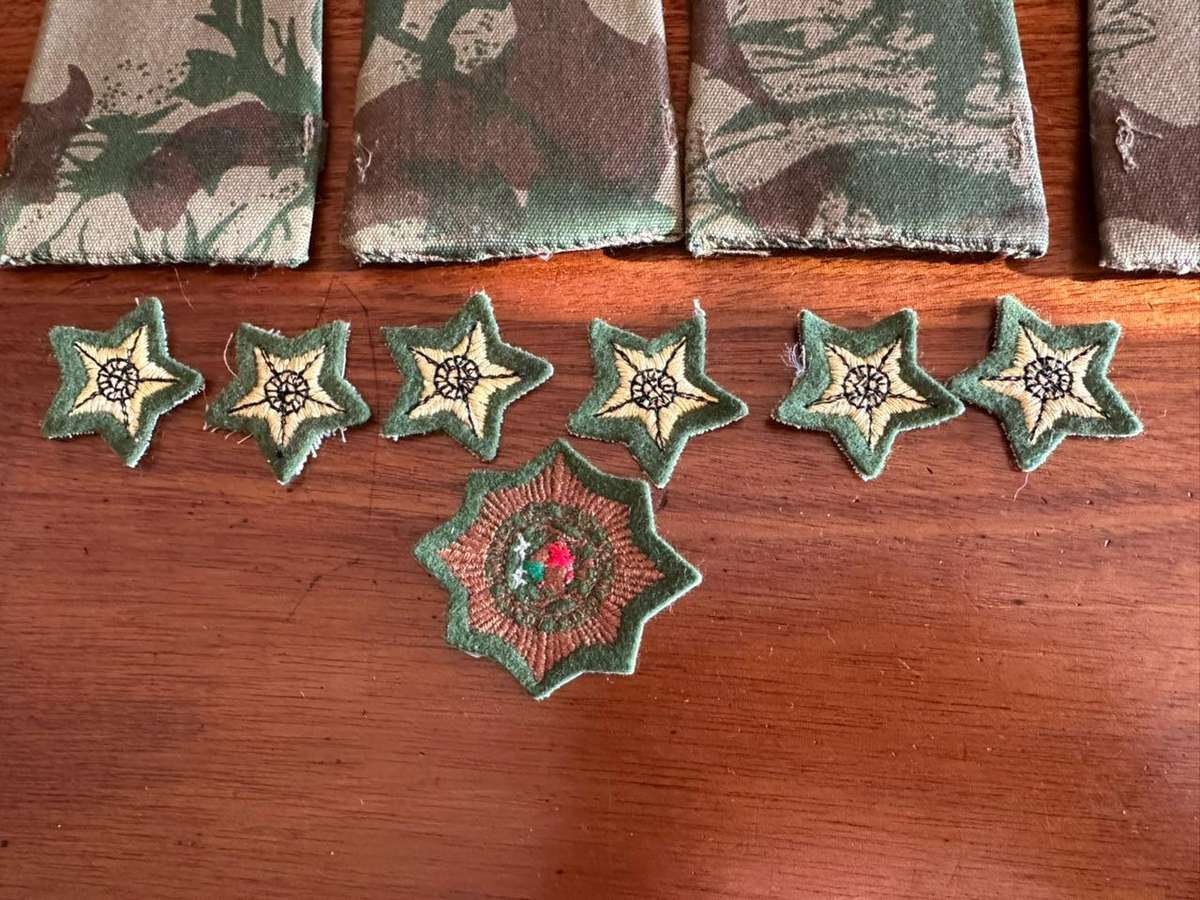 Task force ranks and cap badge.