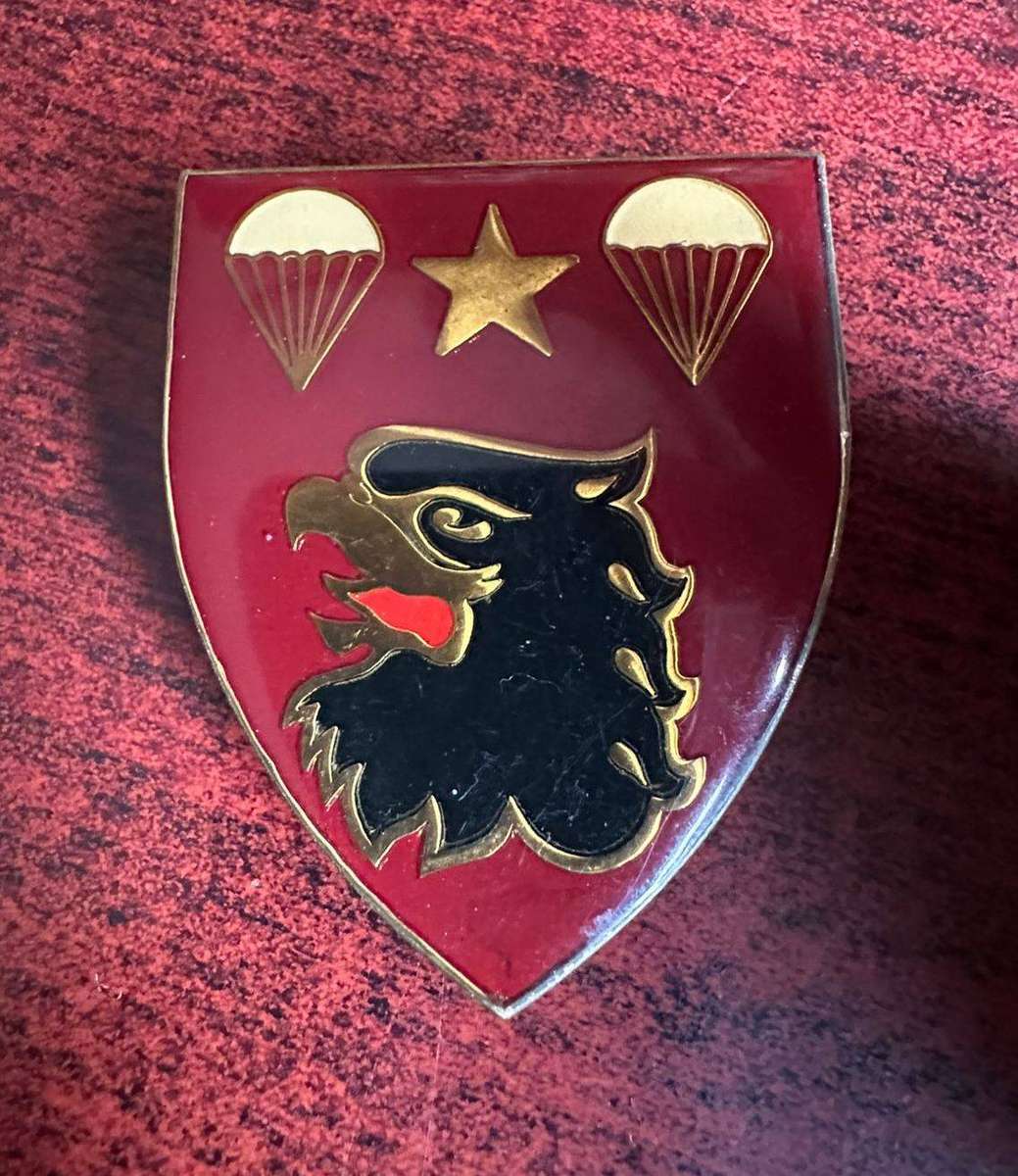 4 Parachute battalion flash. 3 Pins.