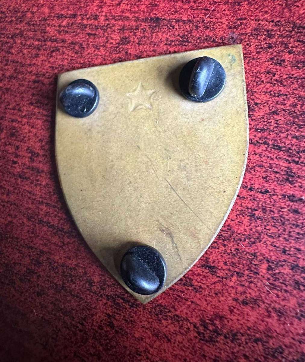 4 Parachute battalion flash. 3 Pins.