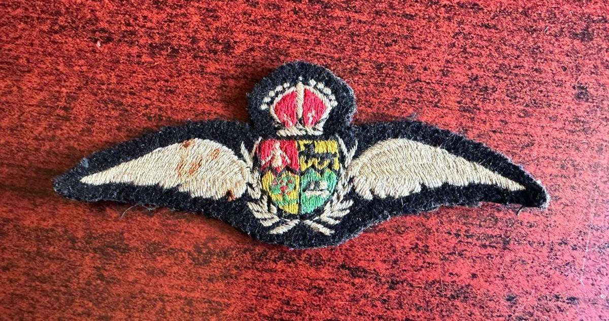 SAAF pilots wing. Worn 1923-1960.