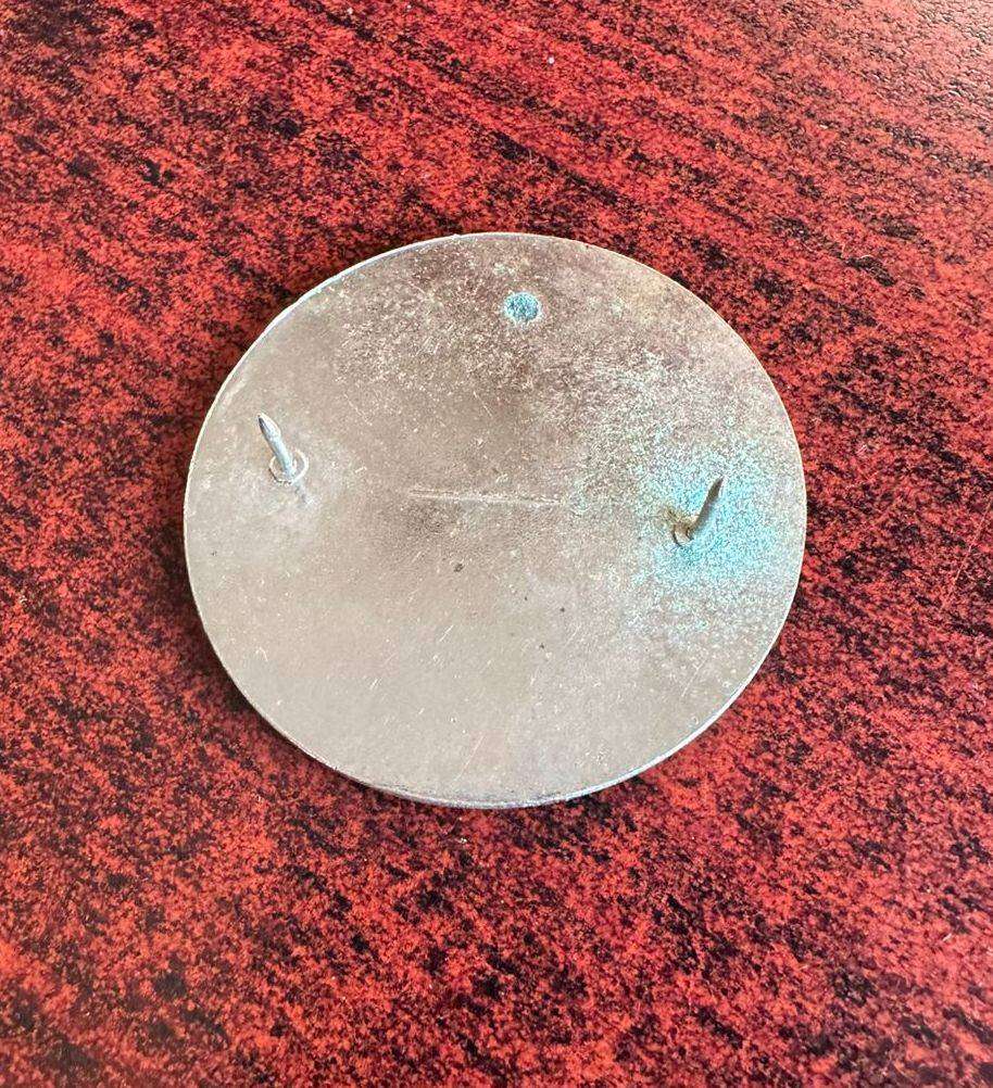 SWA 201 Battalion beret badge. 2 Pins. Original.