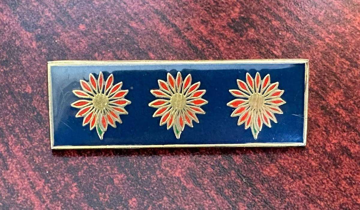 Northern Transvaal command bar. 2 Pins.