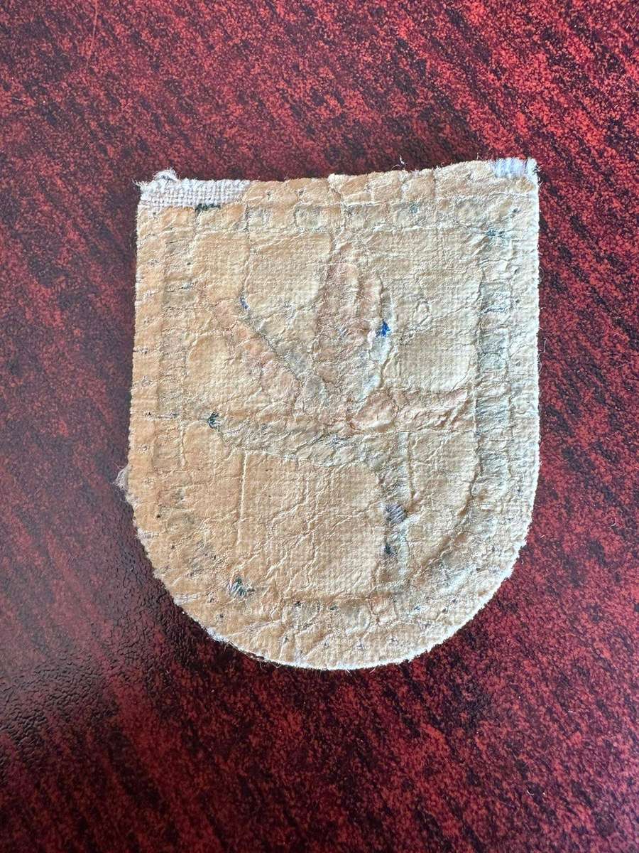 6 SA Infantry cloth flash. 1960's-1970's.