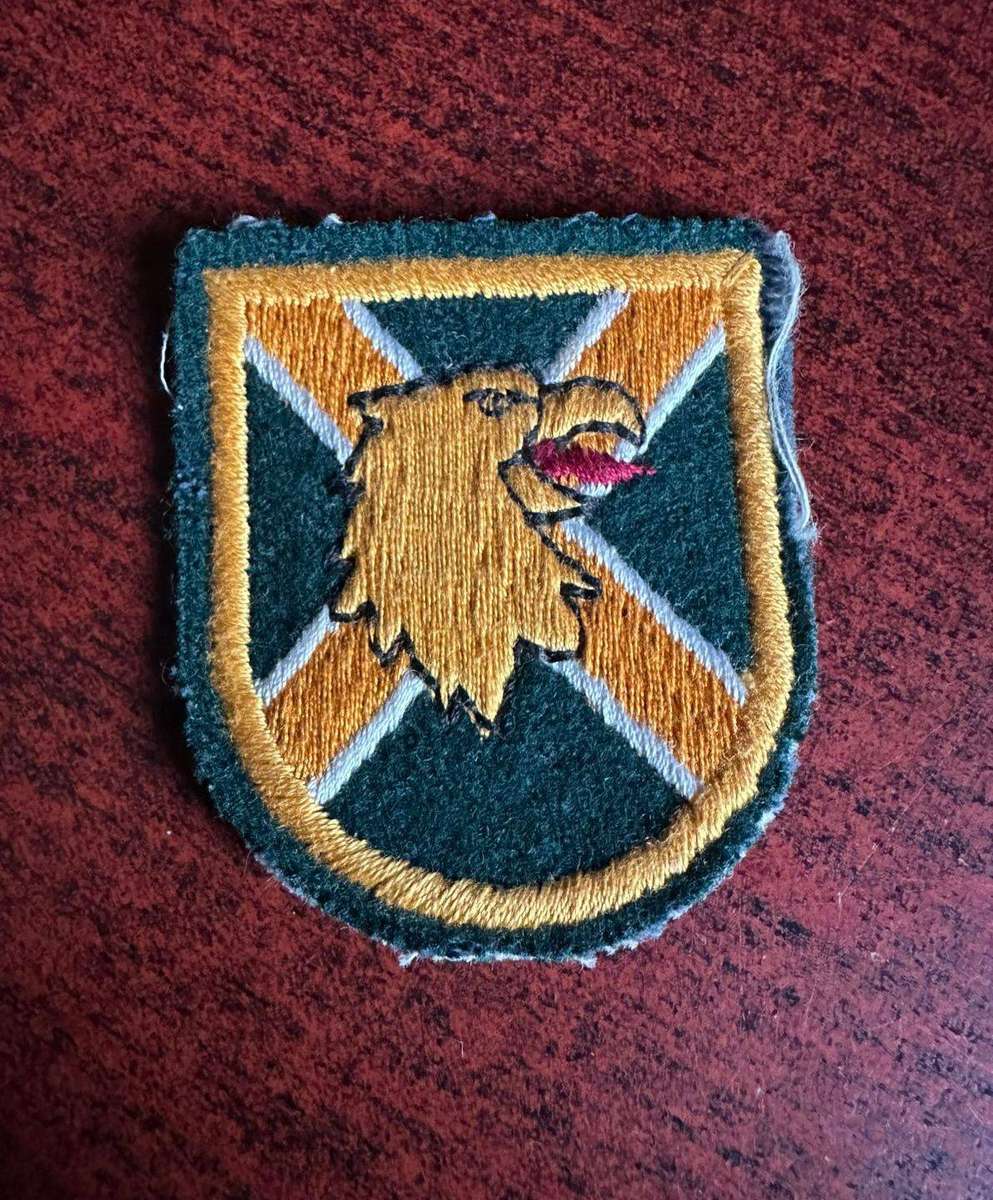 Lions head Commando cloth flash.