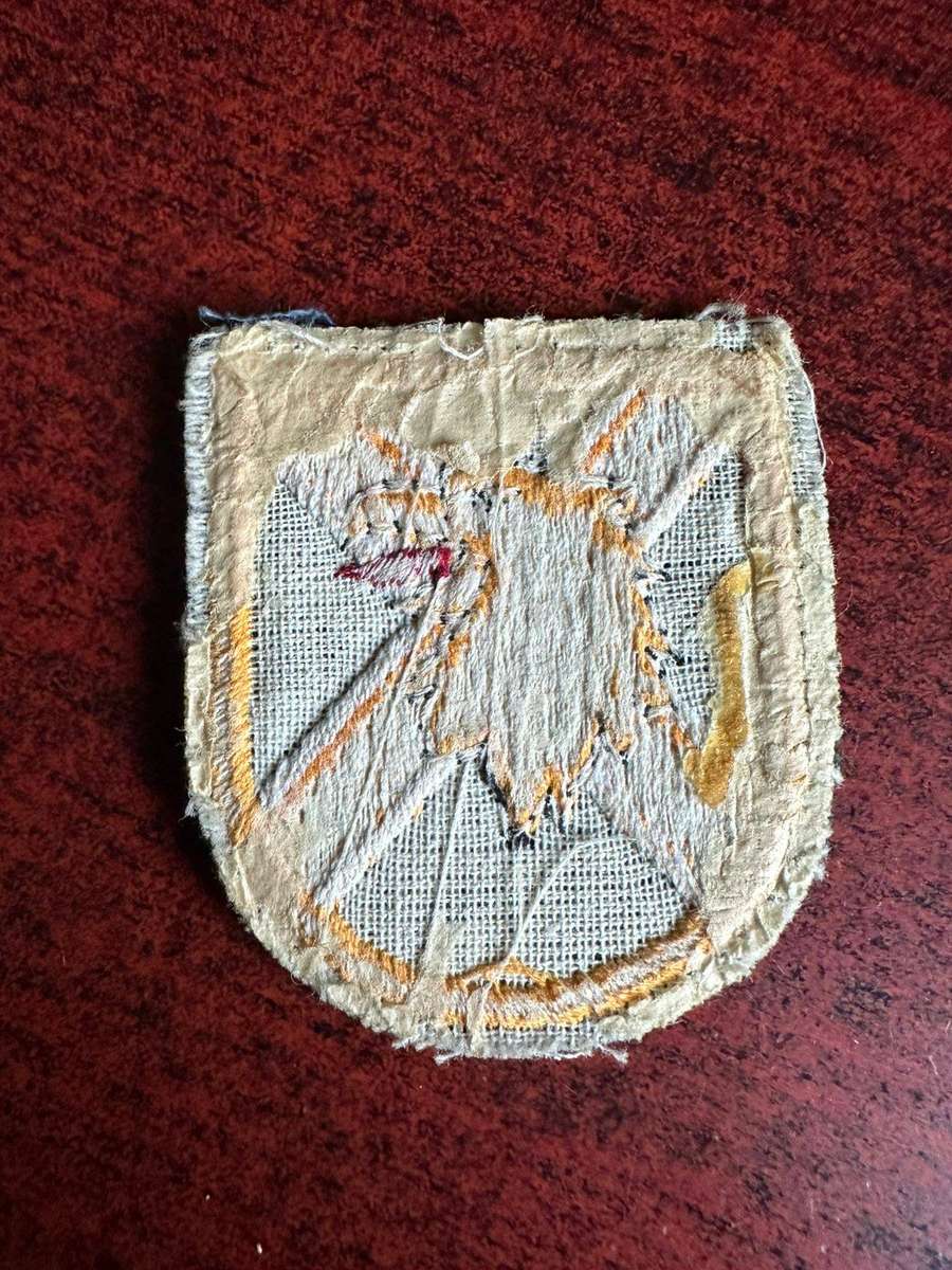 Lions head Commando cloth flash.