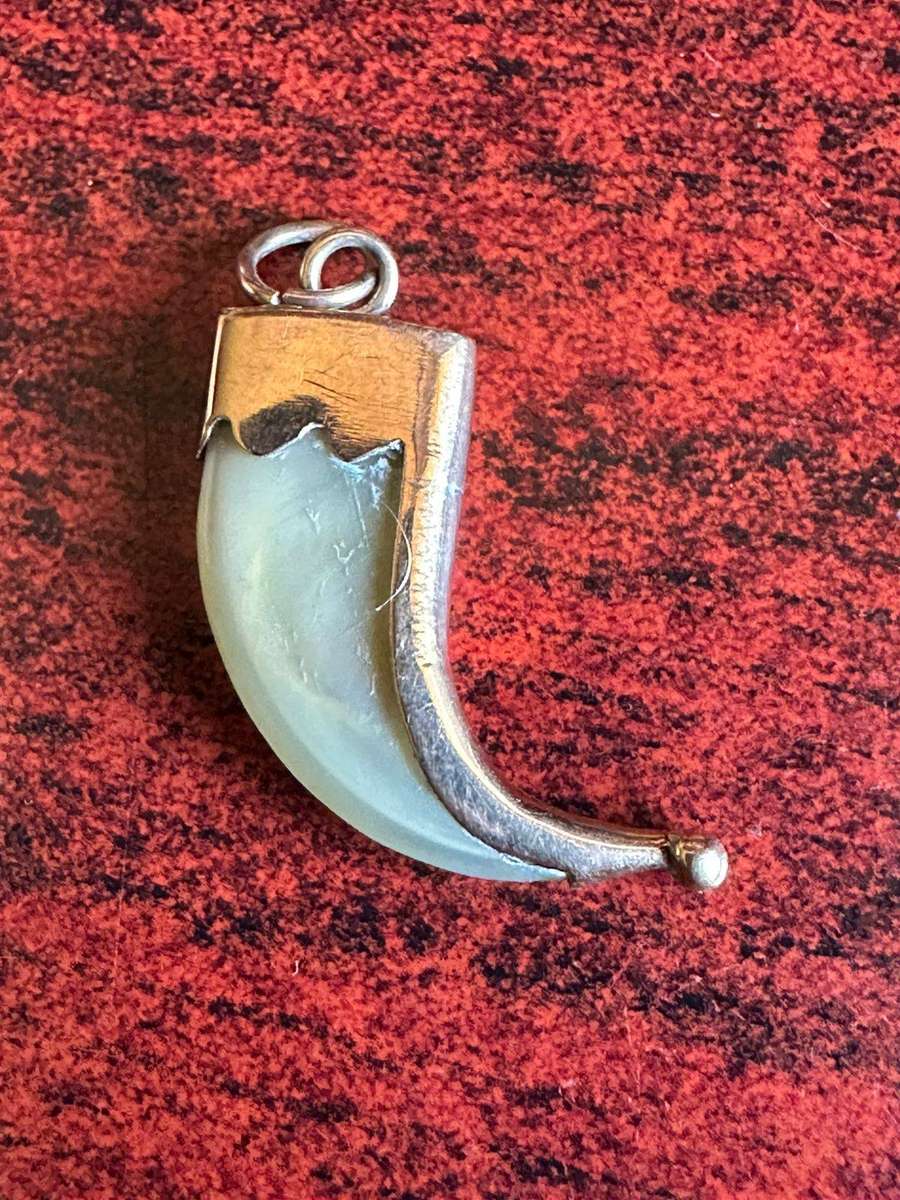 Victorian Tiger claw pendant,mounted in 9ct gold. Total weight 1,8g. Actual claw measures 24mmx12mm.