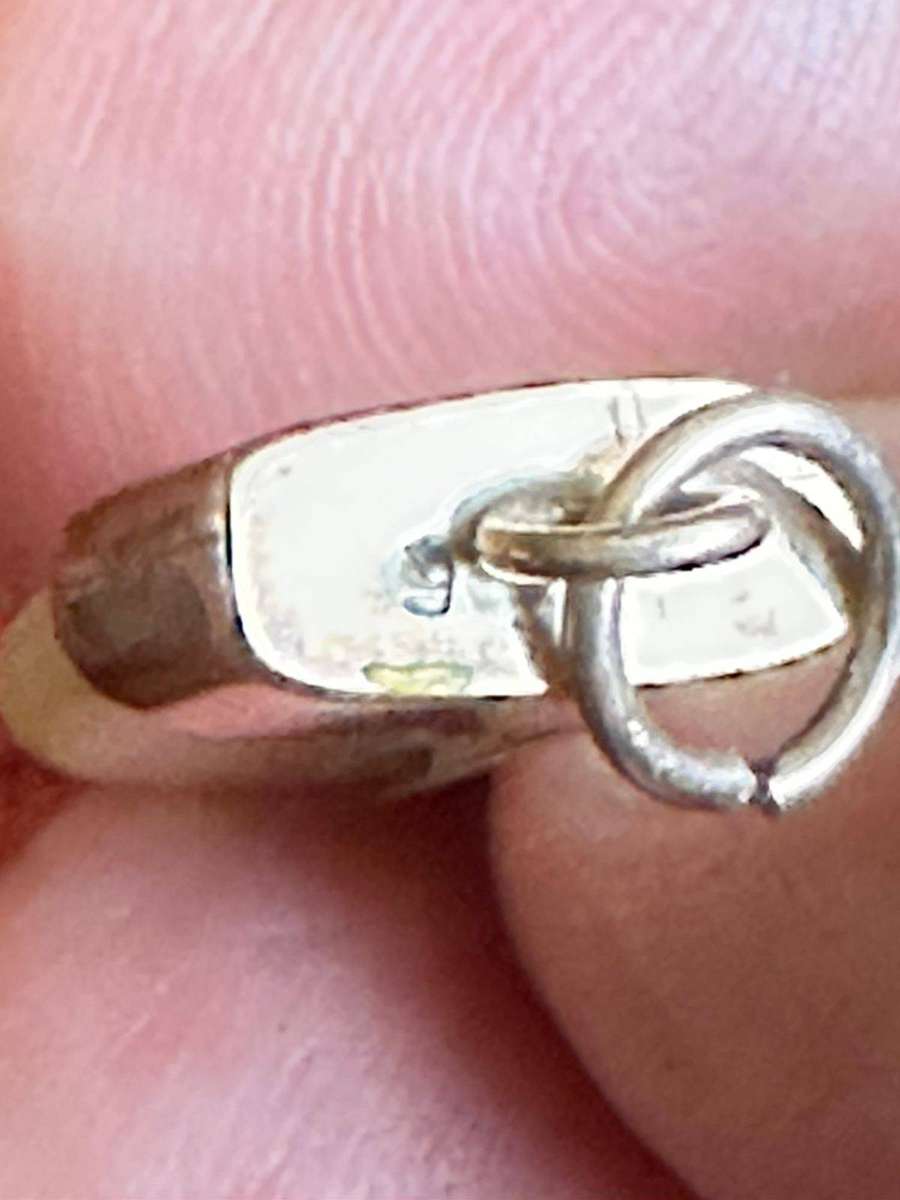 Victorian Tiger claw pendant,mounted in 9ct gold. Total weight 1,8g. Actual claw measures 24mmx12mm.