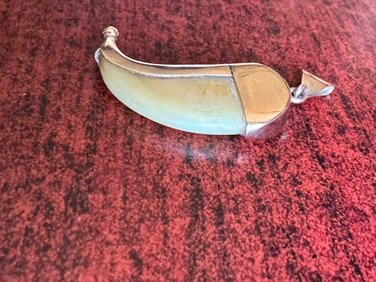 Victorian Tiger claw pendant mounted in 9ct gold. Total weight 3,9g. Actual claw measures 33mmx17mm.