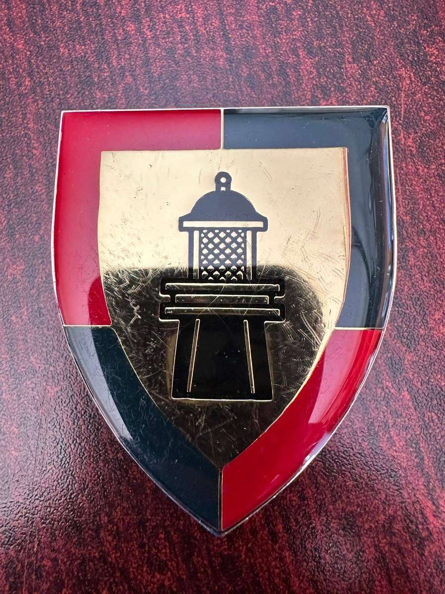 Regiment Algoa Bay flash. 3 Pins.