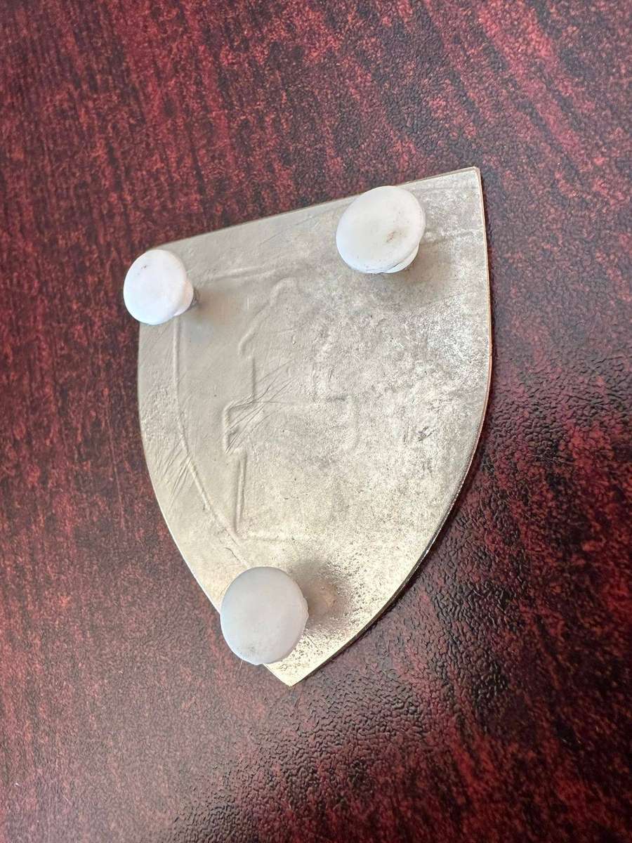 Regiment Algoa Bay flash. 3 Pins.