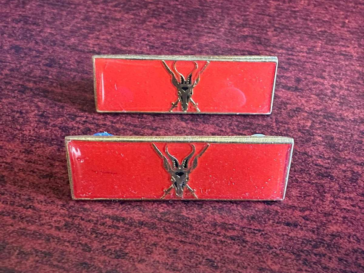 Chief of the army command bar,pair. Pins intact.