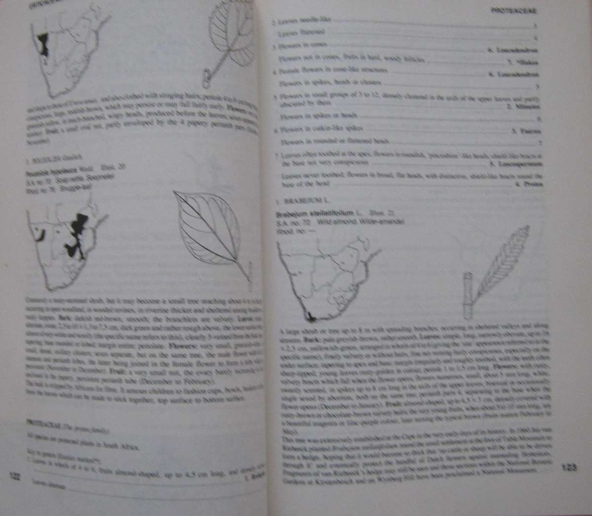 Trees of Southern Africa Keith Coates Palgrave | R B Drummond