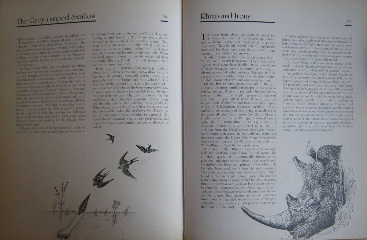 Jeff Huntlys African Wildlife Sketches Jeff Huntly