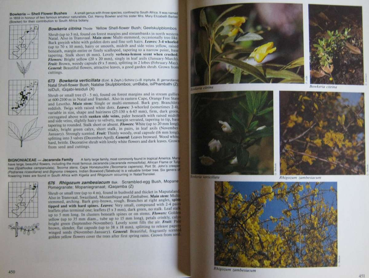 The Complete Field Guide to Trees of Natal, Zululand & Transkei