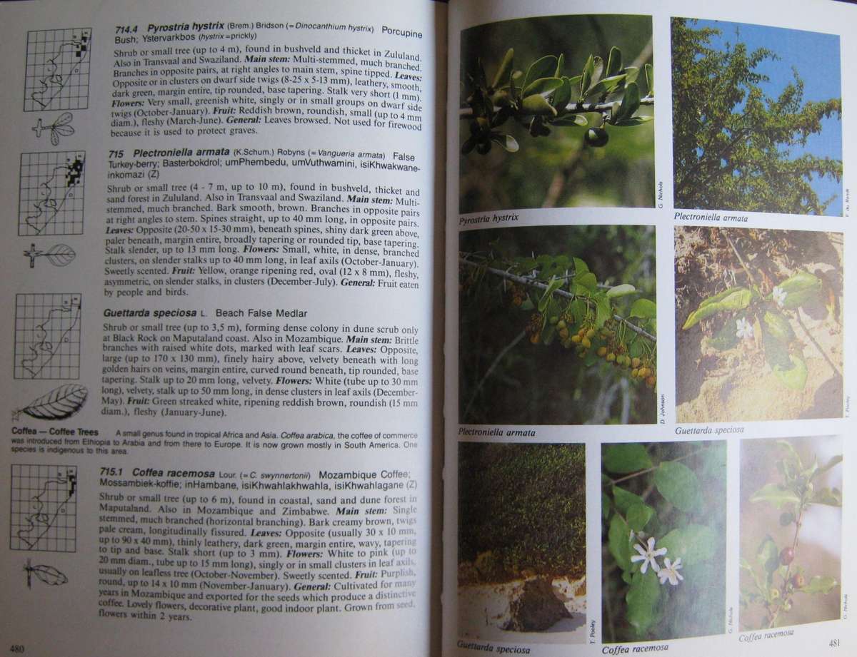 The Complete Field Guide to Trees of Natal, Zululand & Transkei