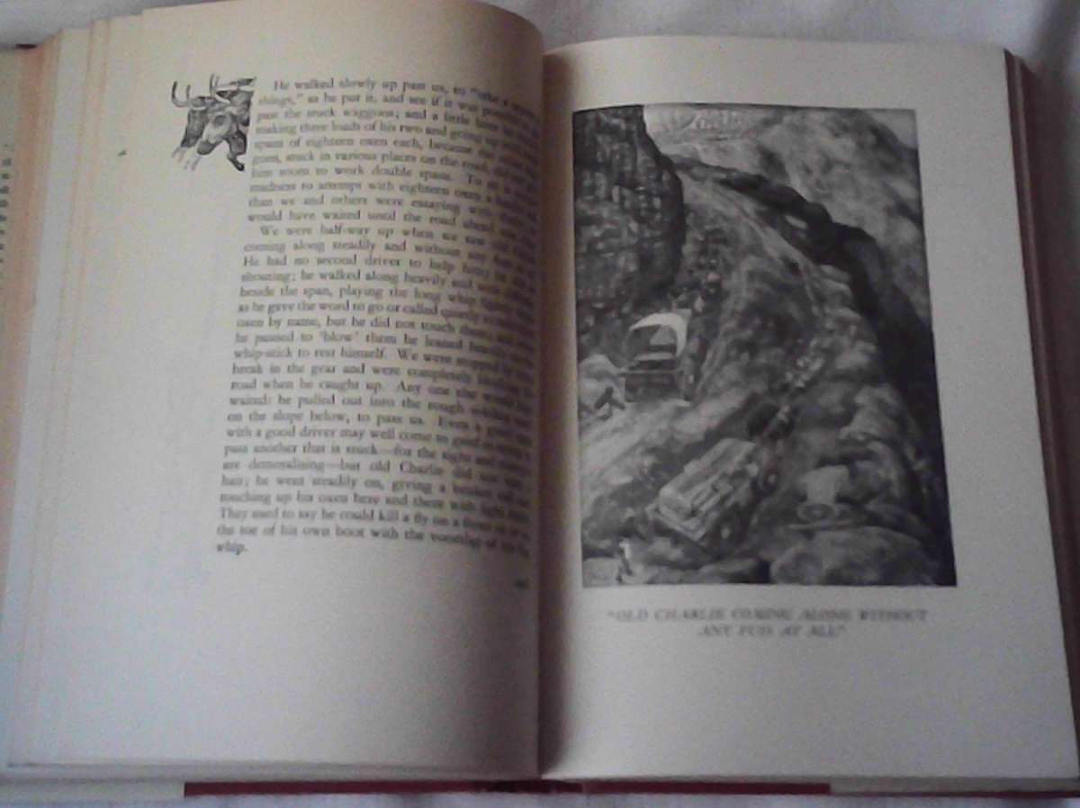 Jock of The Bushveld Sir Percy Fitz Patrick