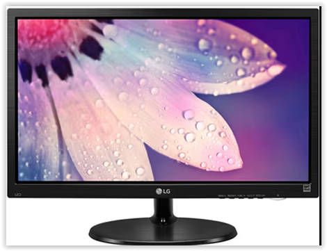 LG 19" Class Full HD LED Monitor