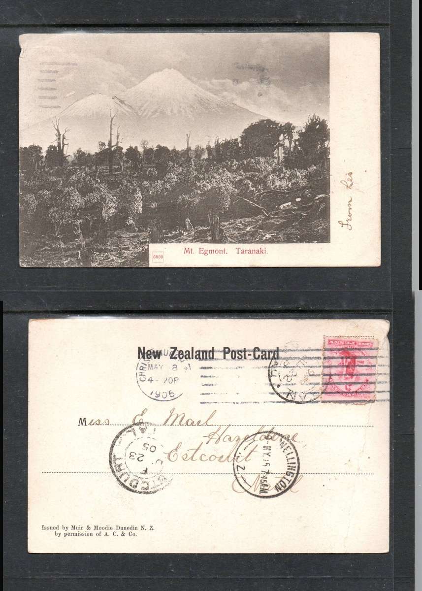 New Zealand Mt Egmont Taranaki used 1d, CHRISTCHURCH MY 8 1905cds>ESTCOURT NATAL, WELLINGTON transit