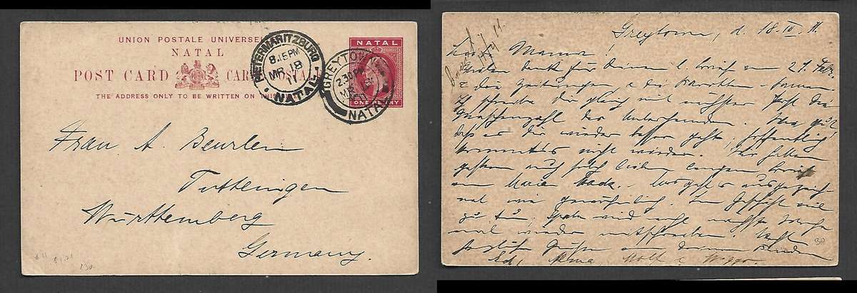 Natal EVIIR 1d post card, used GREYTOWN  NATAL MR 18 11 cds > Germany PIETERMARITZBURG transit