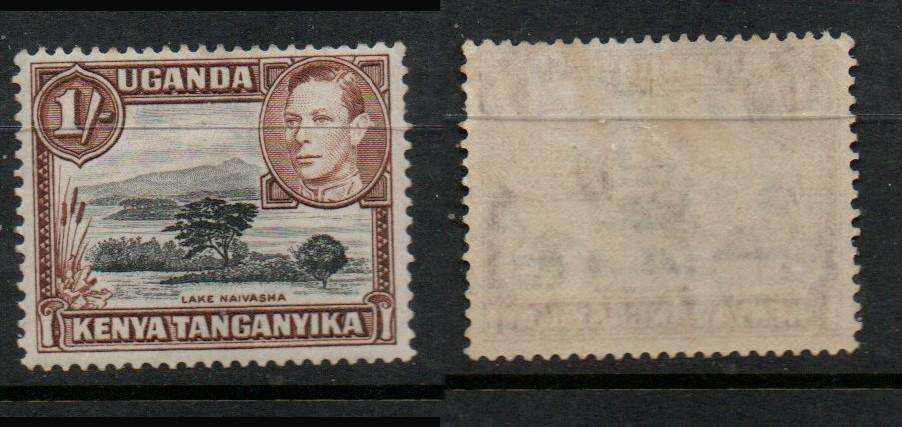 Kenya Uganda Tanganyika, 1950, 1/-, perf 13 x 12.5, deep black & brown, MH *