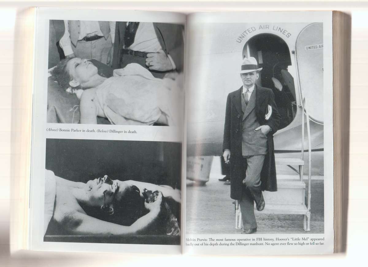 Public Enemies By Bryan Burrough book true crime FBI history biography American