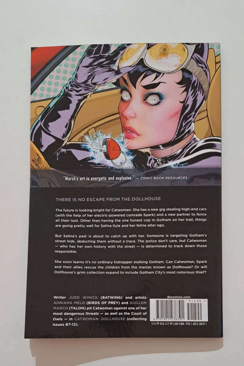 Catwoman TPB (2012-2016 DC Comics The New 52) #2 rare old collectable