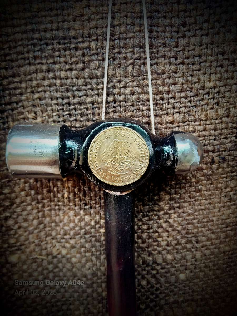 "Twee Mossies" unique walking stick.