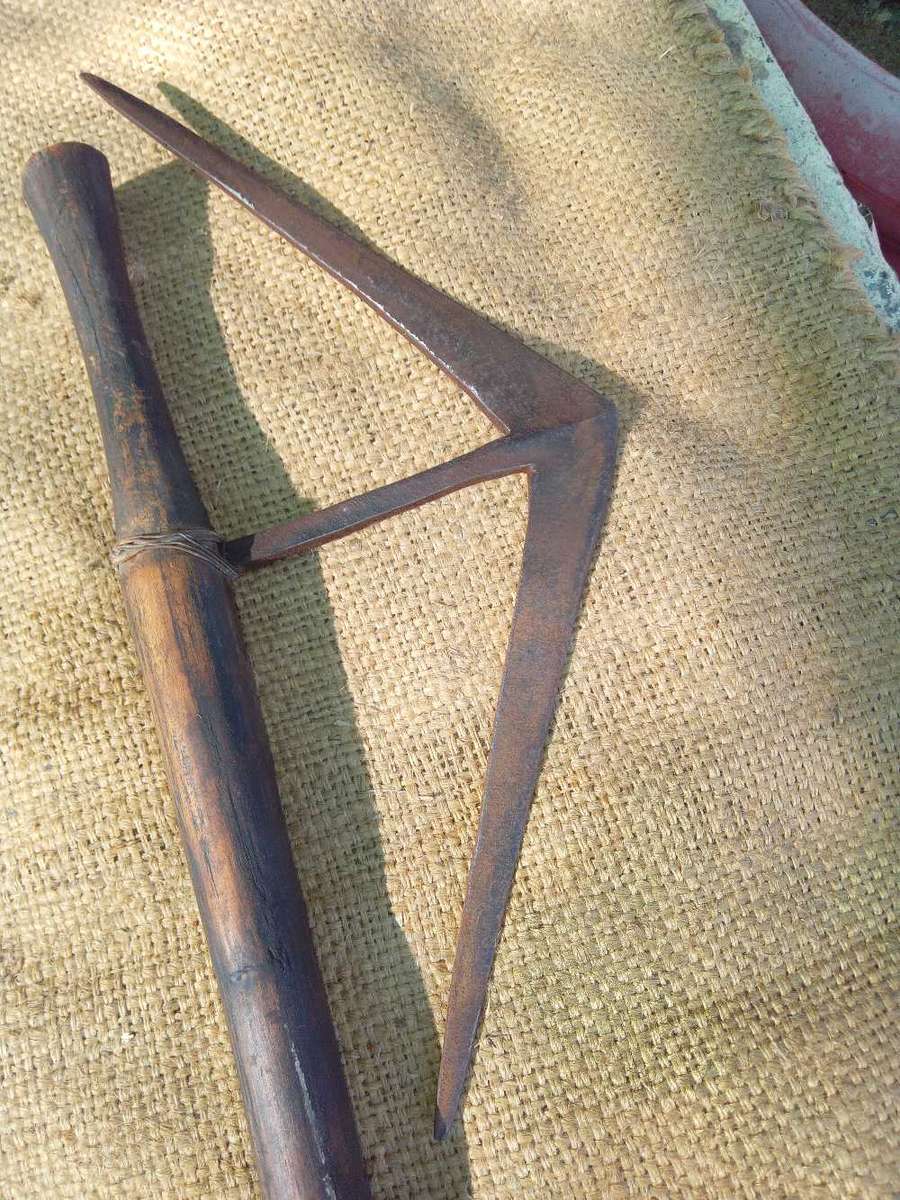 Zulu/Swazi artifacts