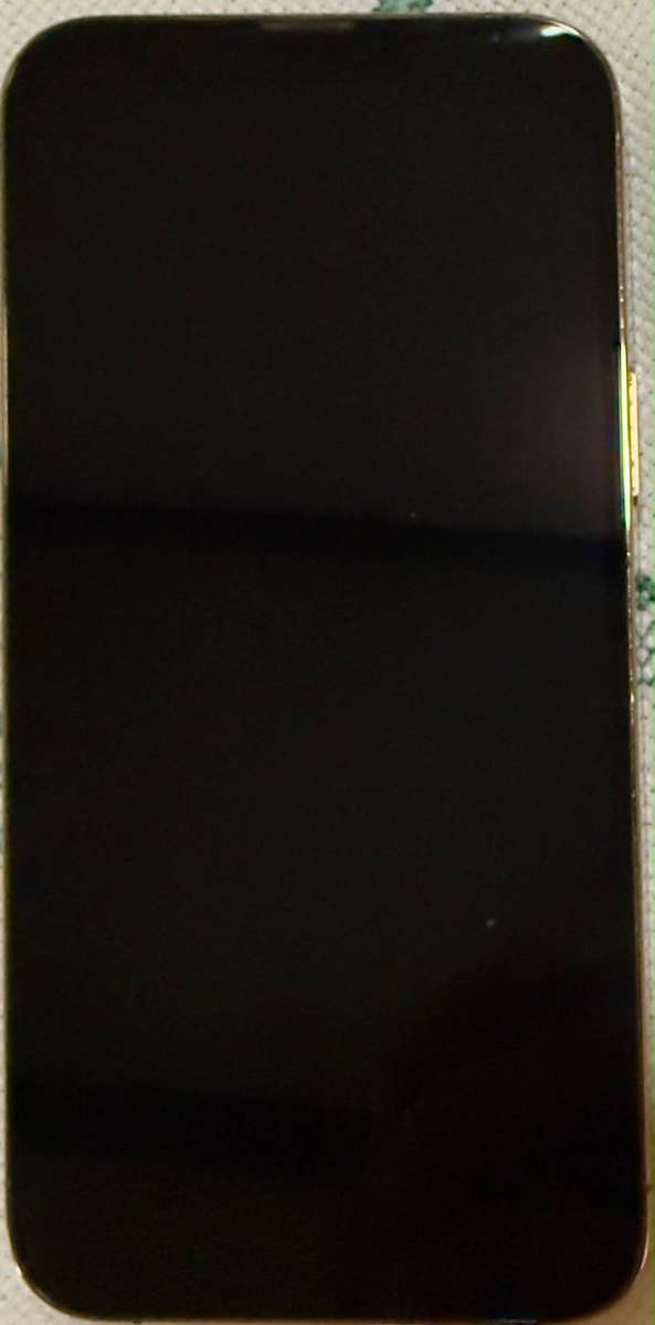 Apple iPhone 13 Pro Max 256GB