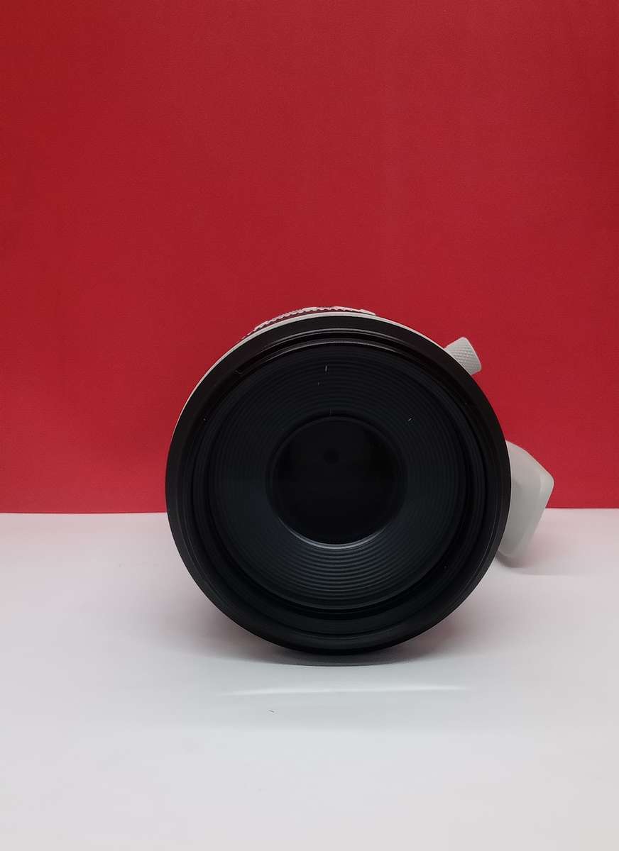 Canon RF 100-500MM f/4.5-7.1 L IS USM LENS