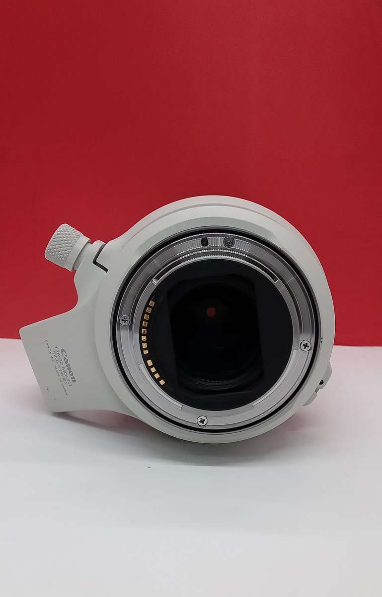 Canon RF 100-500MM f/4.5-7.1 L IS USM LENS