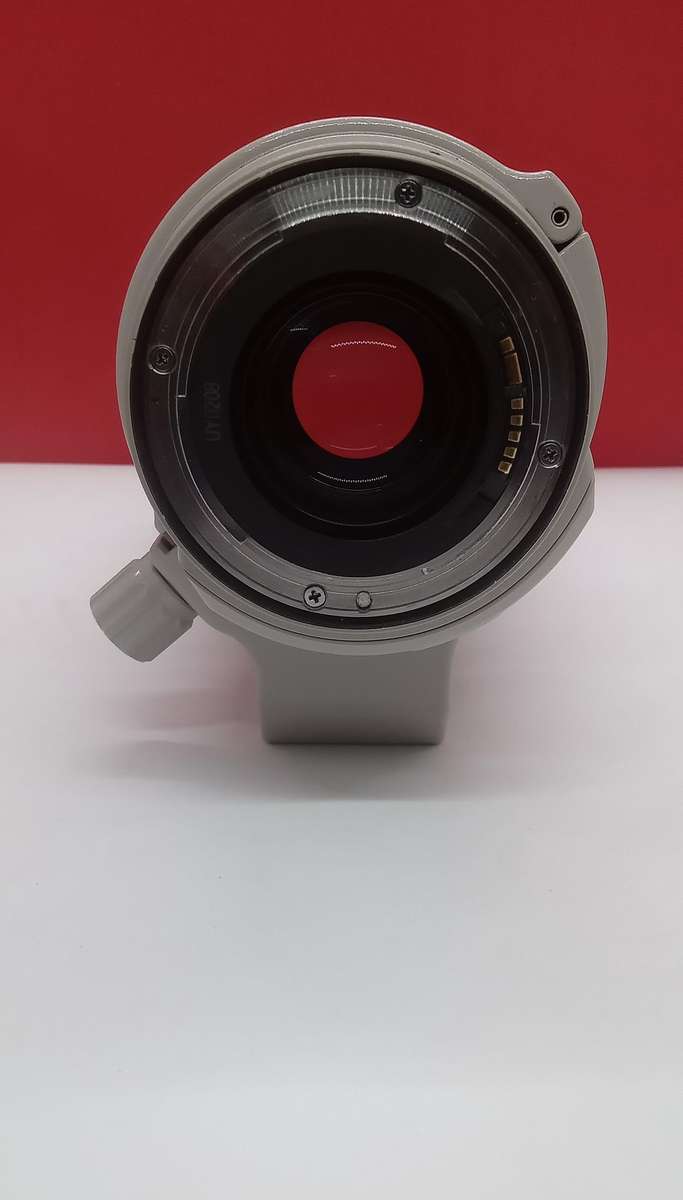 Canon EF 28-300mm 1:3.5-5.6 L IS USM
