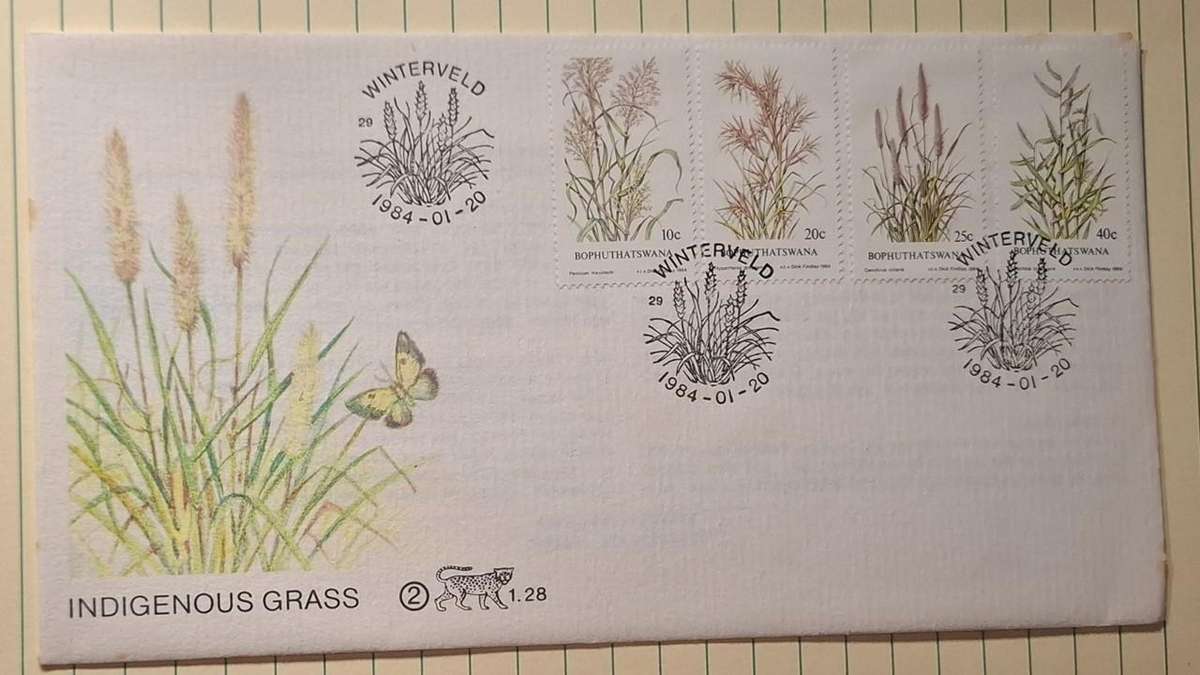 1984 - Bophuthatswana - First Day Cover with Insert - Indigenous Grass - 2 - 1.28 - Postmark Winterv