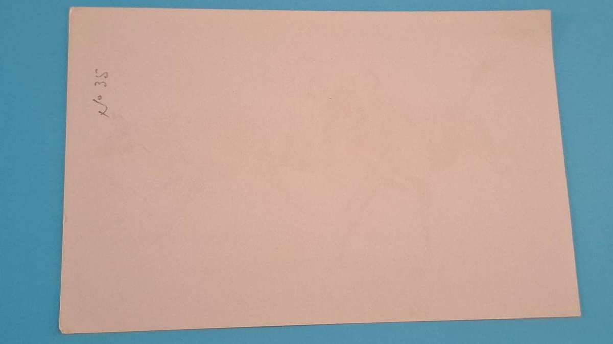 Animal print 2 - Paper -  14.5 x 10.5 cm