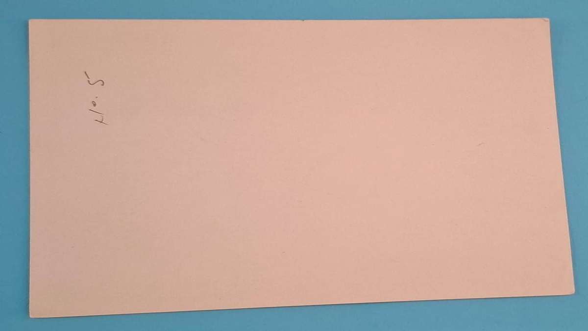 Animal print 3 - Paper -  14.5 x 10.5 cm