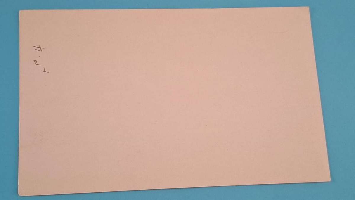 Animal print 5 - Paper -  14.5 x 10.5 cm