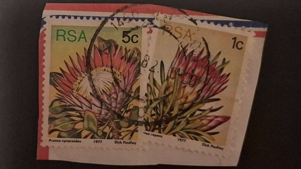 1977 - South Africa - 5c + 6c - Protea.